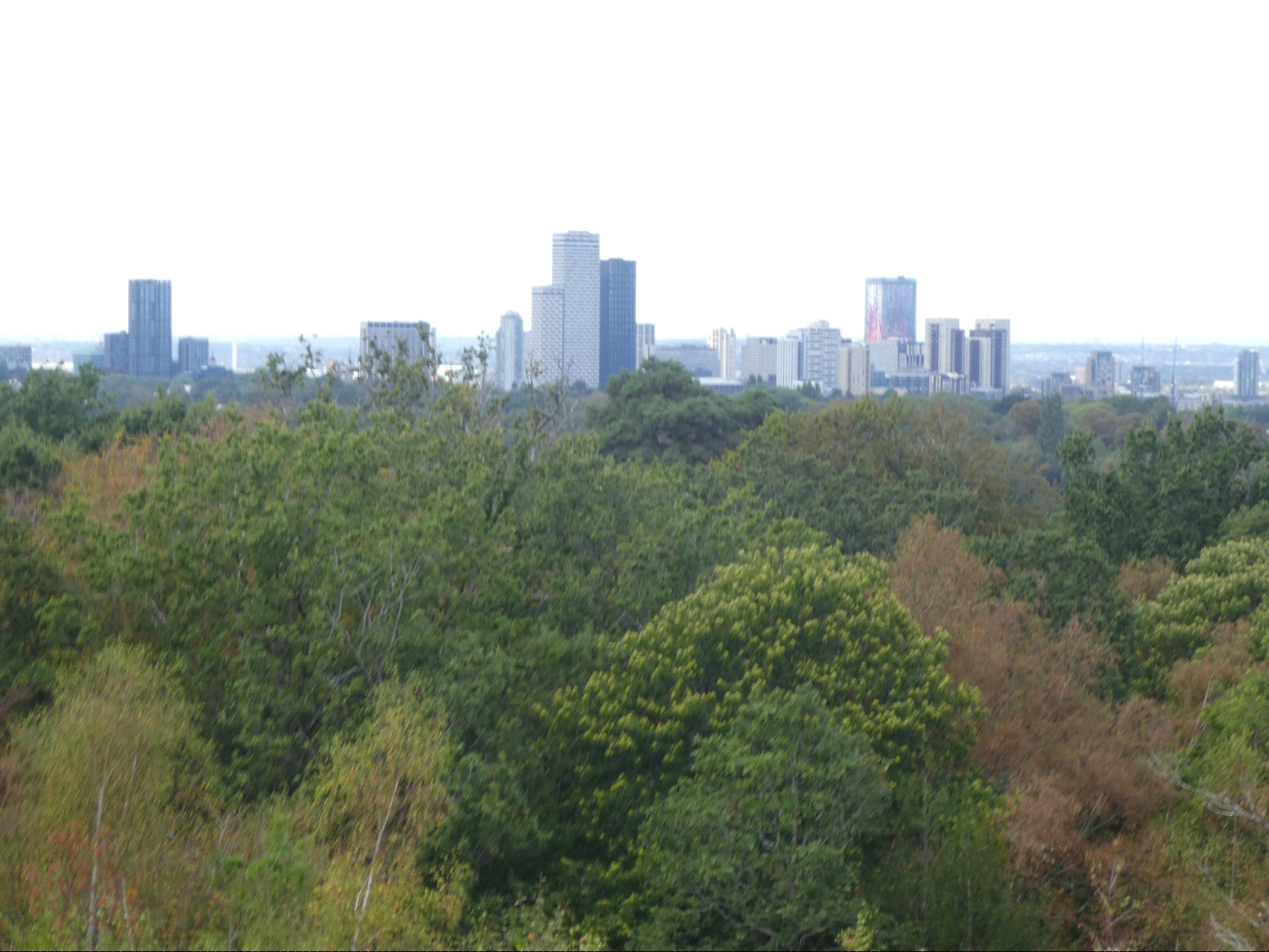 Croydon & Sutton